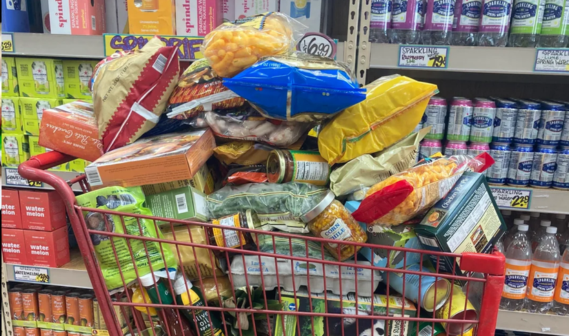 Trader Joe's Shopping Cart