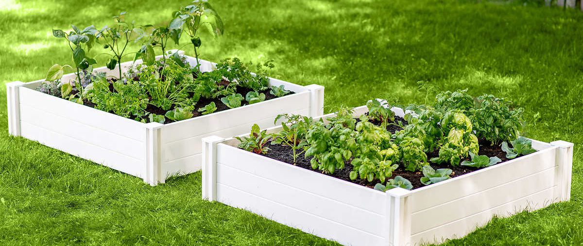 6 Inexpensive Raised Garden Bed Ideas