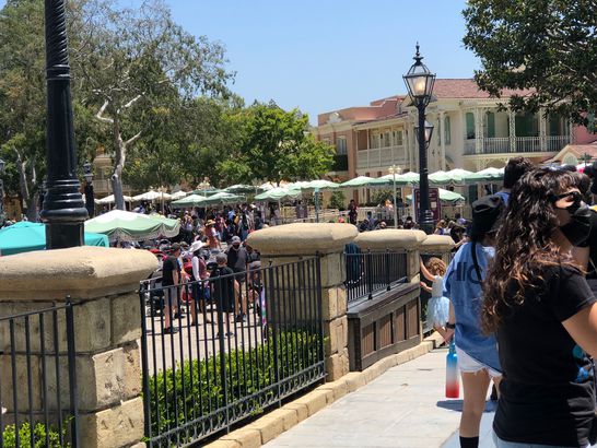 Crowd at Disney During Pandemic