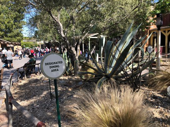 Designated Dining Area in Disneyland