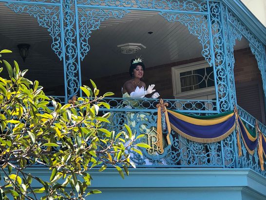 Disney Princess Tiana