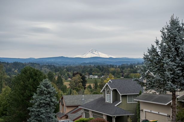 The Tranquil PNW Getaway