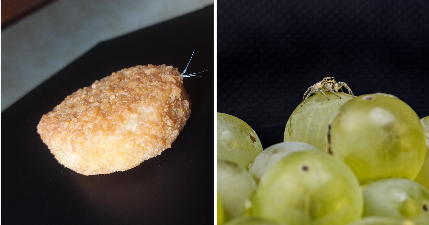 15 Gross, Dangerous Things People Have Found in Food