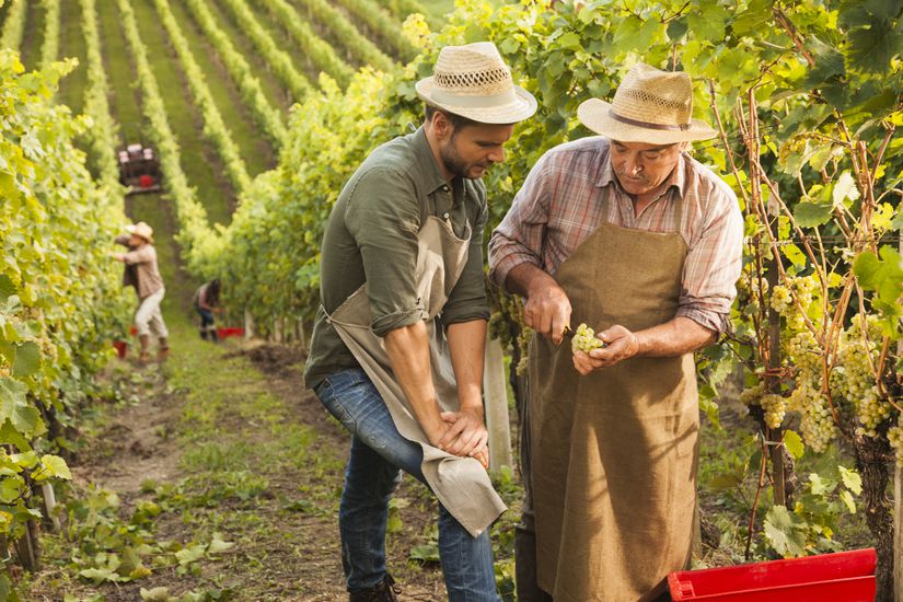 U.S. Wine Industry Facts