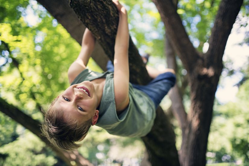 Happy little boy climbing a tree
