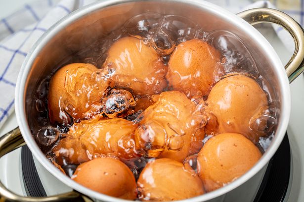 cooking chicken eggs on electric stove