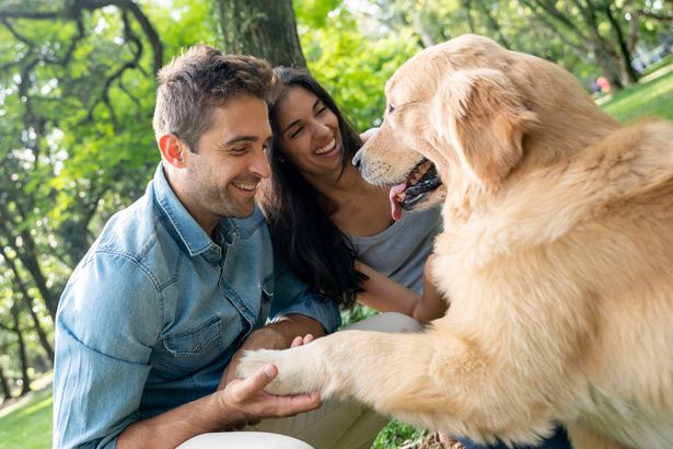 Tu perro podría ser un zurdo