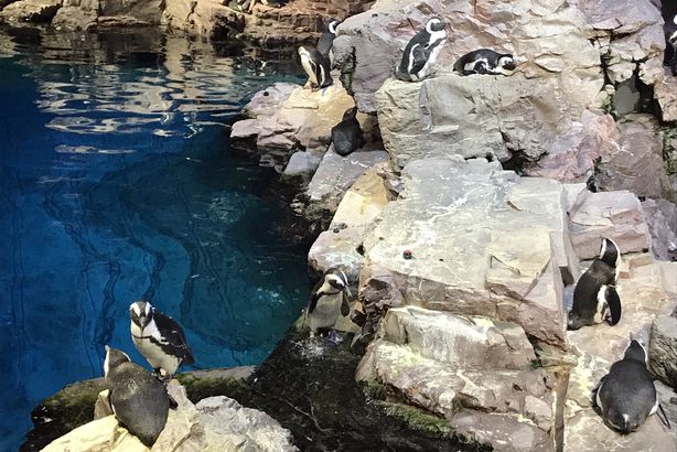 I-90 | New England Aquarium