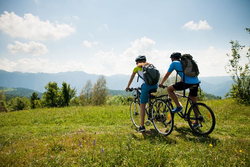 Where to Buy Bikes Online 2021 Bicycle Stores Online