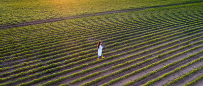 scientist walking in a field of crops
