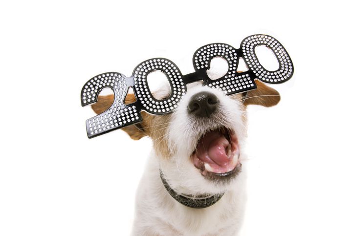 6. And so is this cutie with 20/20 vision