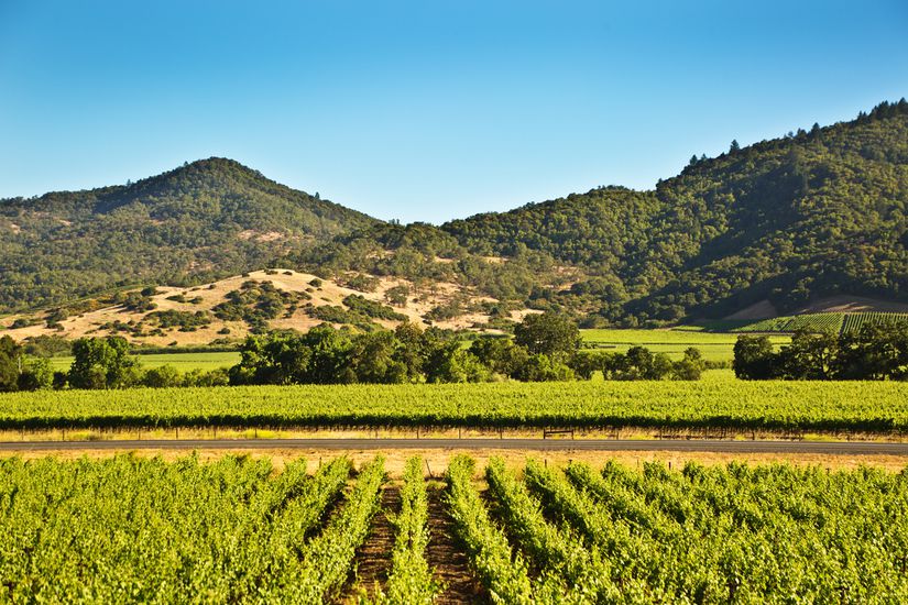 U.S. Wine Industry Facts