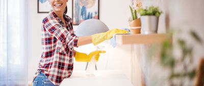 Young housewife makes house cleaning