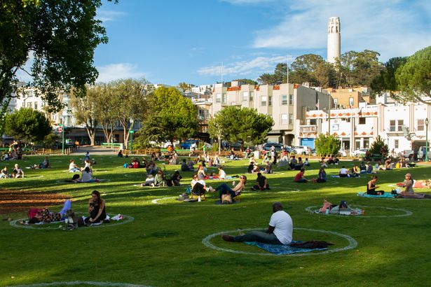 Circles in the Park