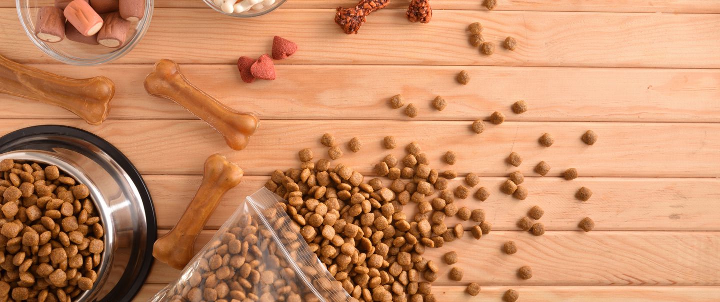 Best Food for Dogs With Allergies