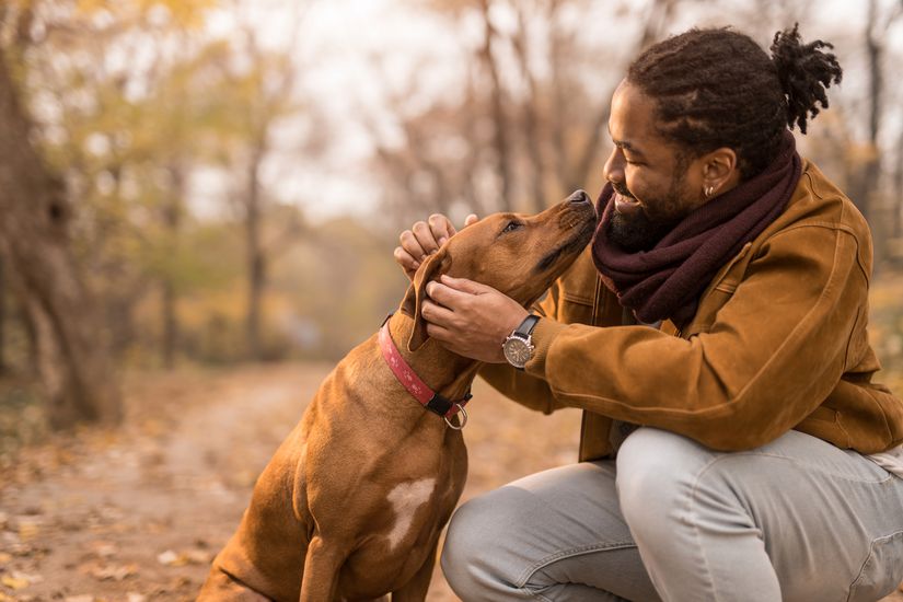 The Best State for Dog Lovers