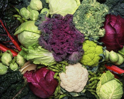 Cruciferous Vegetables