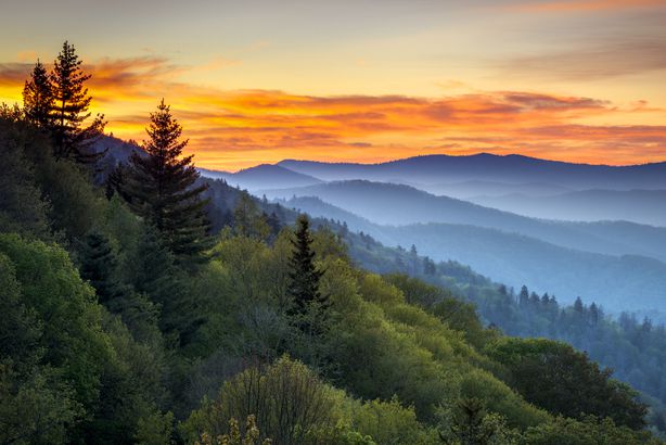 North Carolina: Great Smoky Mountains National Park
