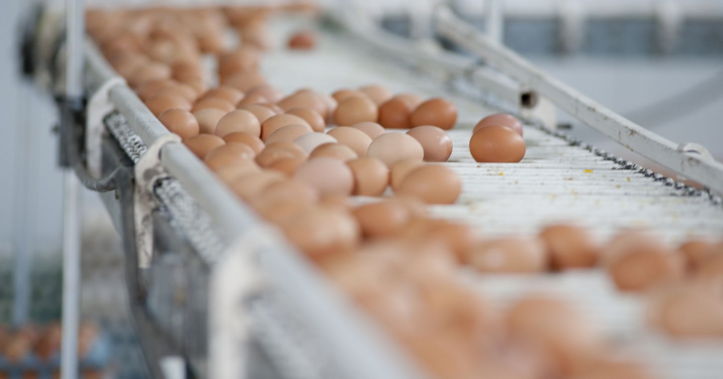 Why Are Egg Prices So High? Some Say Corporate Greed
