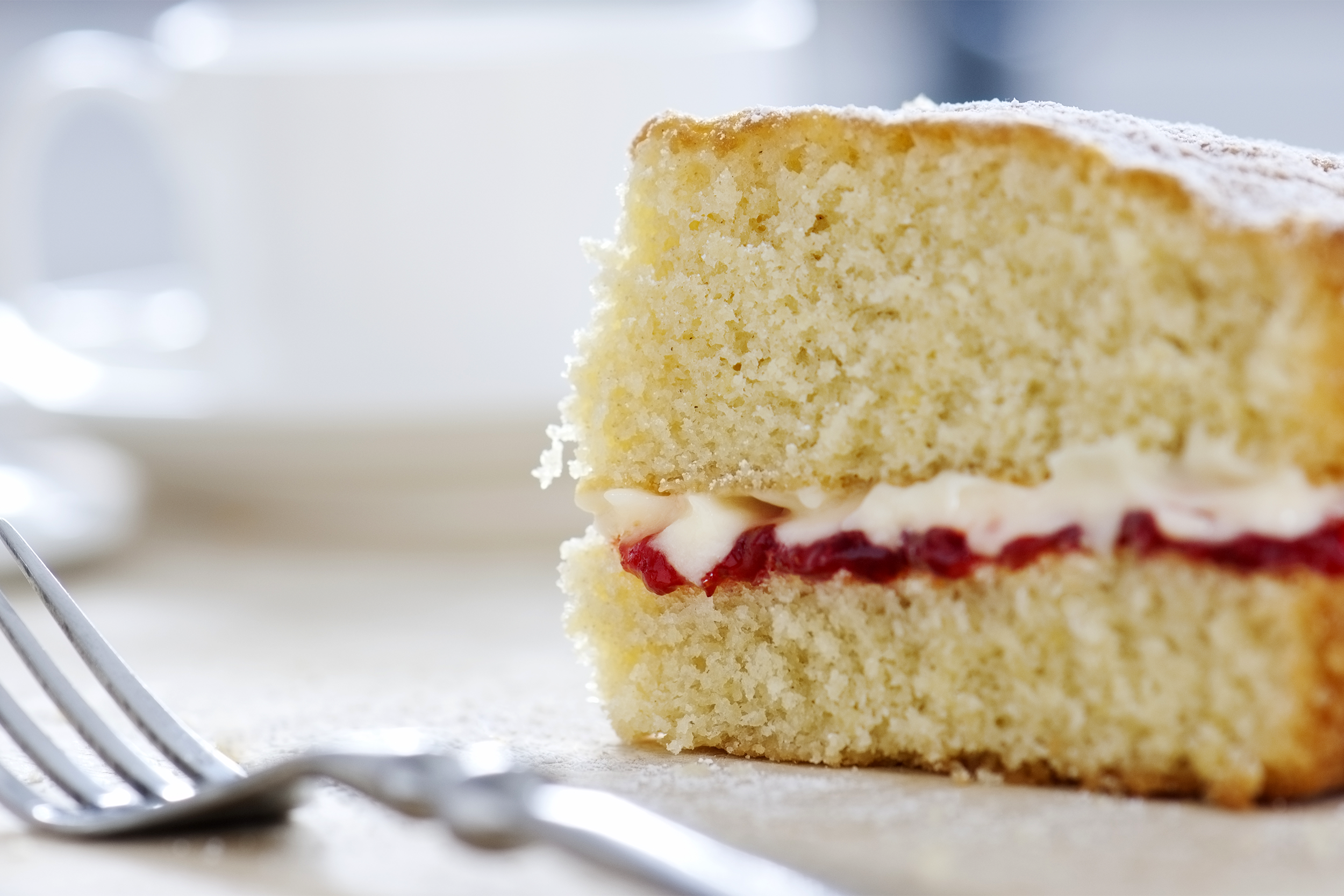 Sponge Cake