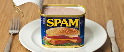 SPAM For Dinner