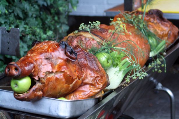 pig with apple