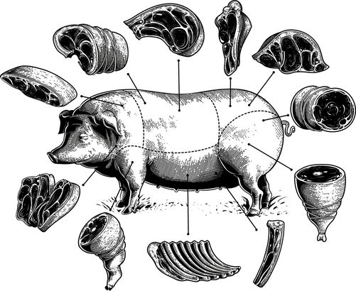 cuts of pig