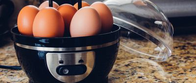 electric egg cooker