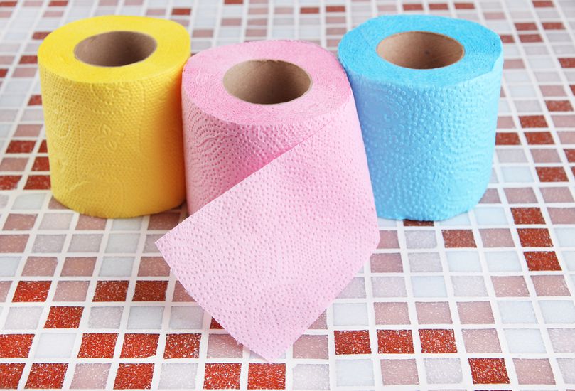 Fun Facts About Toilet Paper