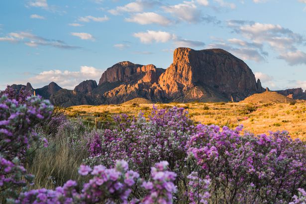 Texas: Big Bend National Park