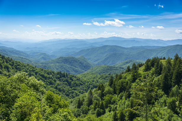 Tennessee: Great Smoky Mountains National Park