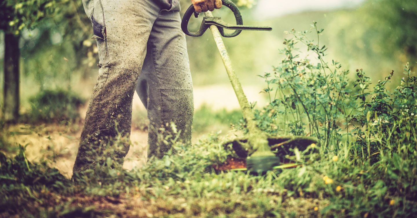 Best Cheap Weed Eaters in 2022 String Trimmers Under 250