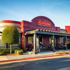 Red Robin
