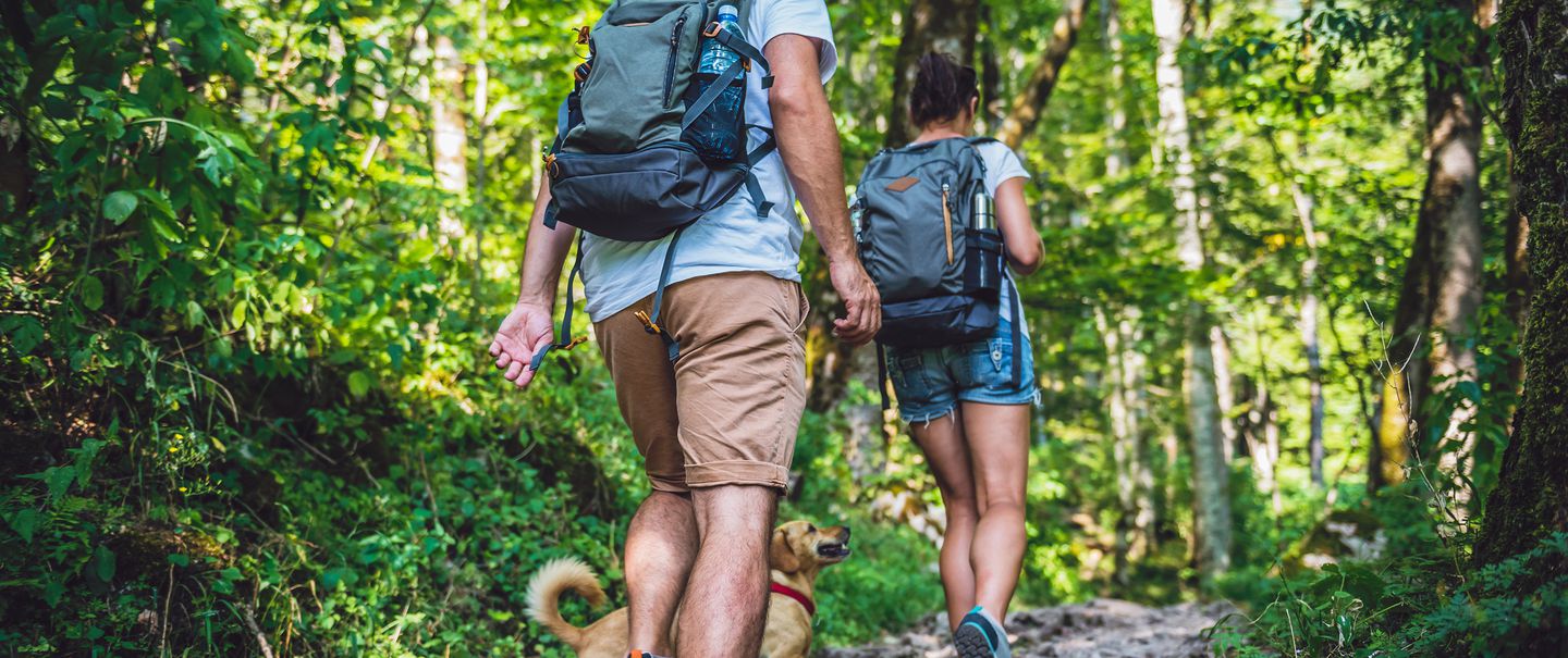 Best Cheap Hiking Backpacks, Daypacks, and Tactical Backpacks in 2022
