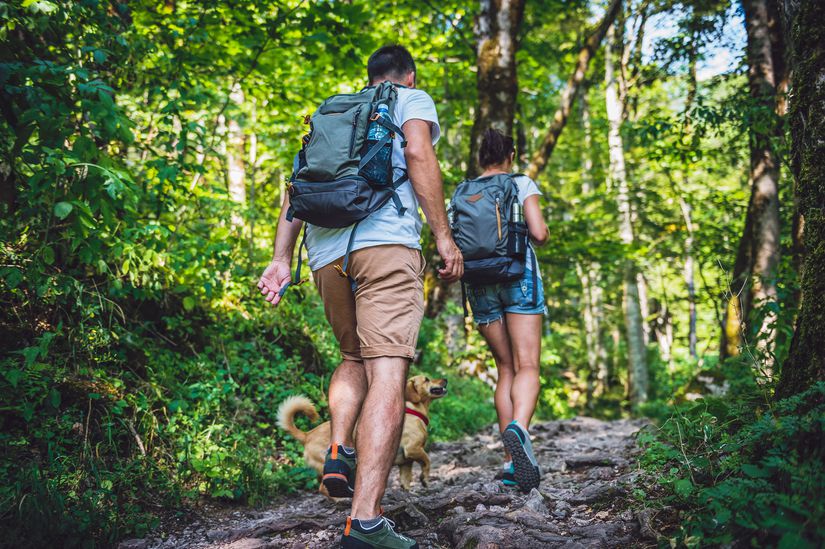 Best Cheap Hiking Backpacks, Daypacks, and Tactical Backpacks in 2022