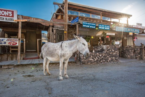 Now: Oatman, Arizona