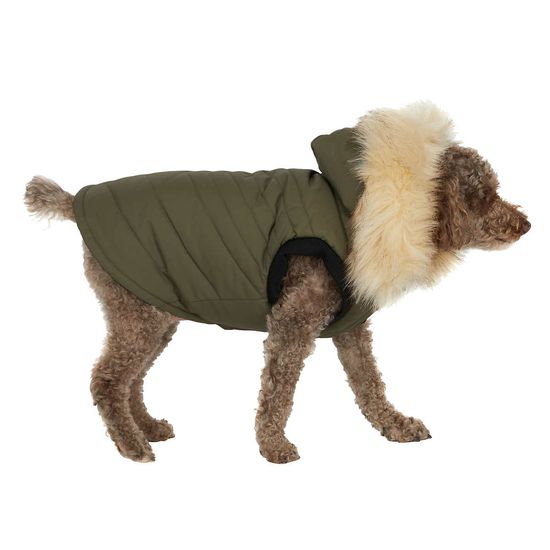 Best Costco Pet Supplies You Can Buy Now