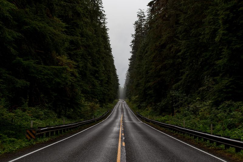 Olympic national park