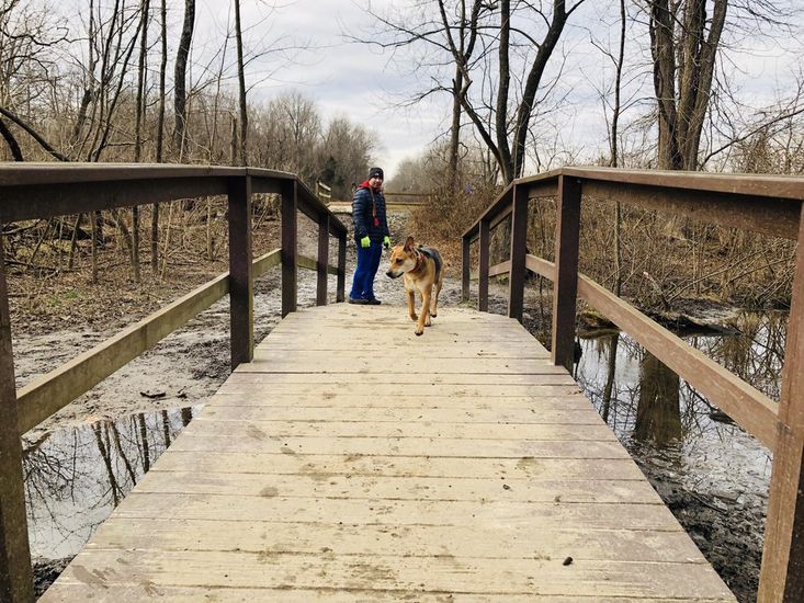 Best Dog Parks in America