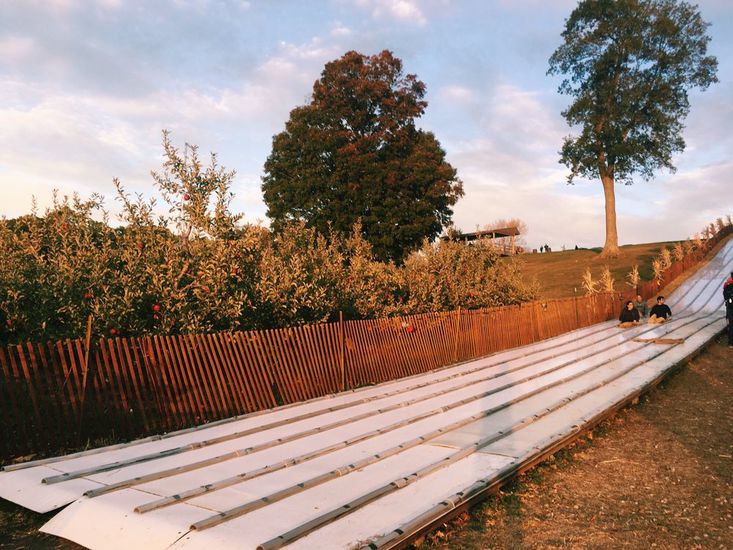 Mapleside Farms Brunswick, Ohio