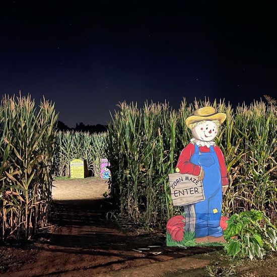 Uncle Shuck's Corn Maze and Pumpkin Patch Dawsonville, Georgia