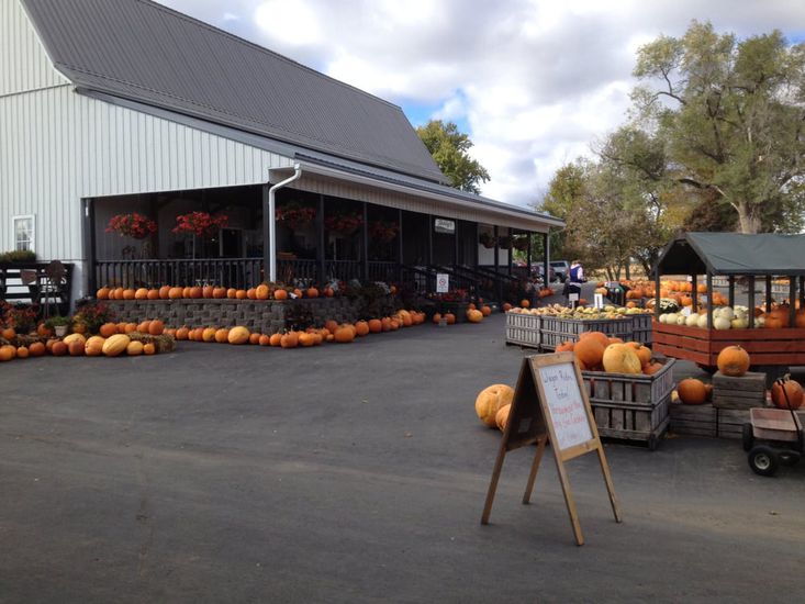 Skelly's Farm Market Janesville, Wisconsin
