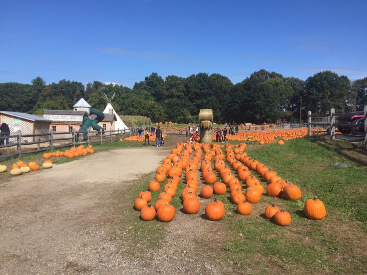Connors Farm, Danvers, Massachusetts