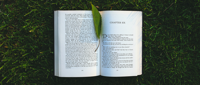 open book on grass