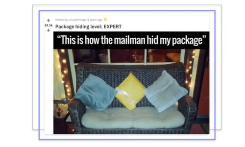 Package Disguised As A Pillow