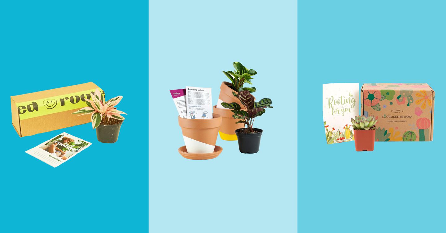 The Best Plant Subscription Boxes in 2022
