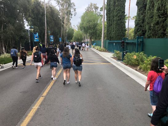 Walking Inside Disneyland